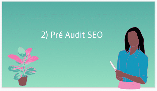 Pre audit seo