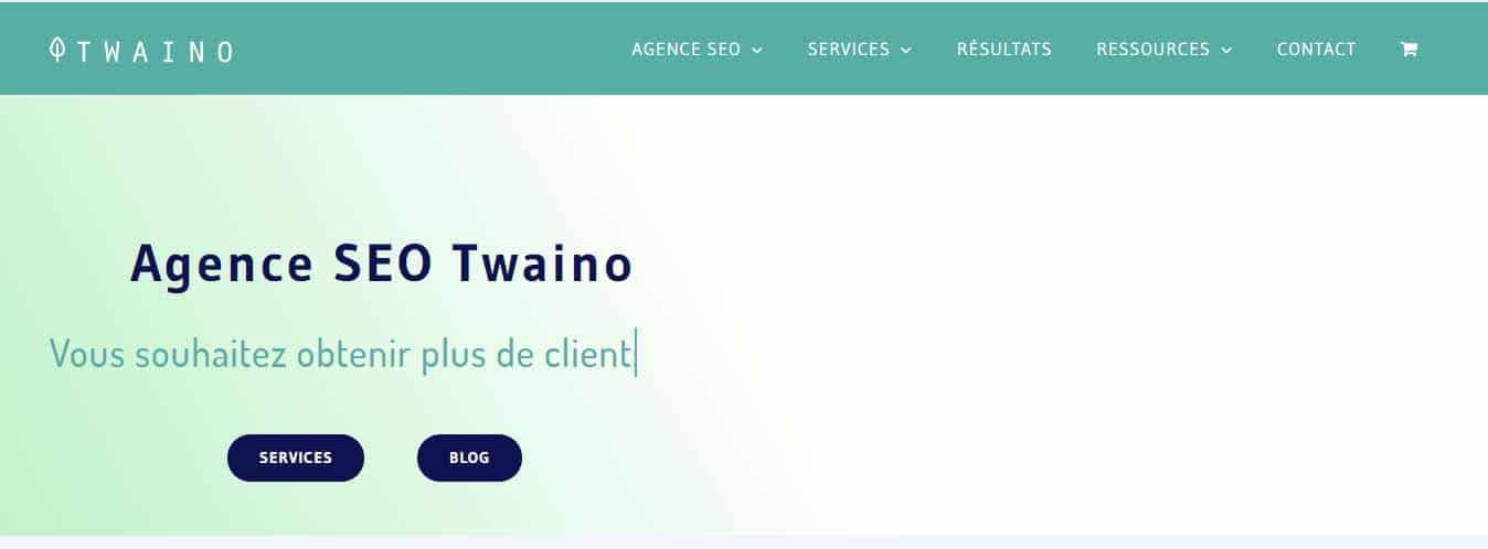 Agence seo twaino