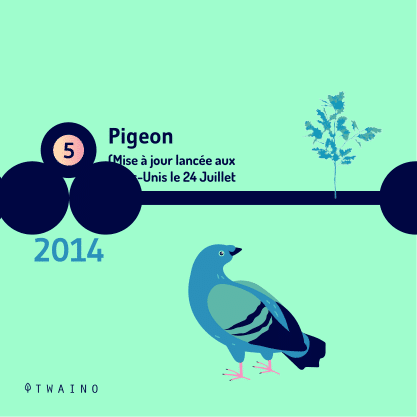 PART 4 - Carrousel-ALGORITHME-06 Pigeon