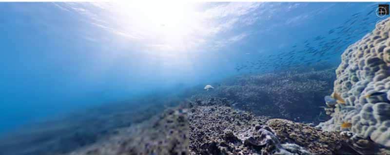 Grande Barriere de Corail