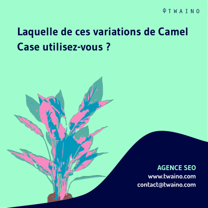 PARTIE 1 Carrousel Camel_Case-10 Quelle variation utilisez vous