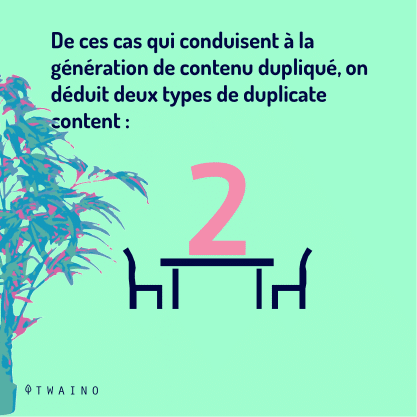 PARTIE 2 Carrousel Duplicate_Content-05 Deux types