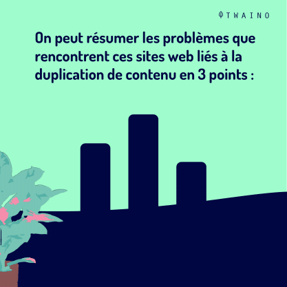 PARTIE 3 Carrousel Duplicate_Content-04 Problemes rencontre par les sites web