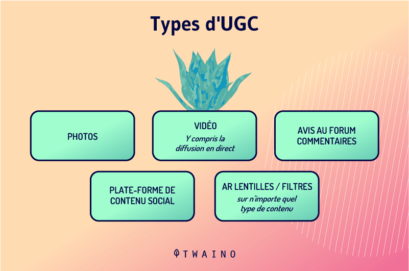 Types d UGC