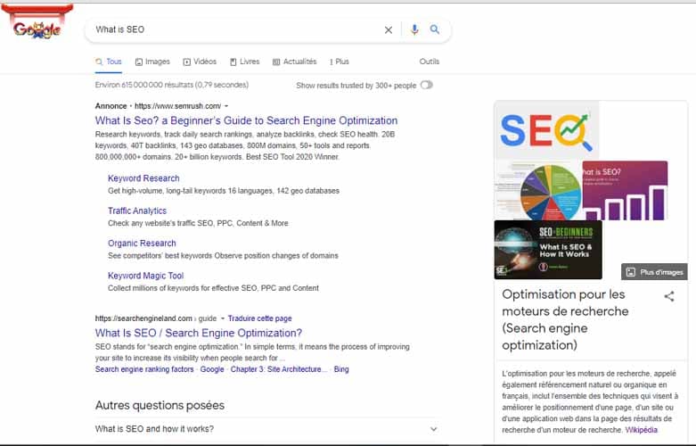 What is seo