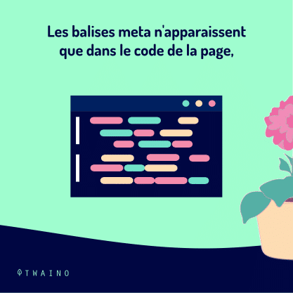 Carrousel Balise meta Partie 1-04 Apparaissent dans le code de la page