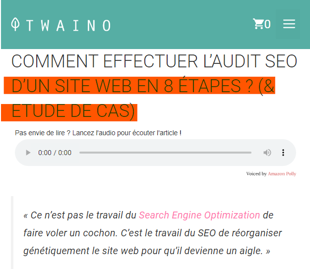  Article audit seo en 8 etapes