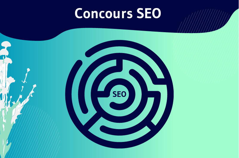 concours seo (1)