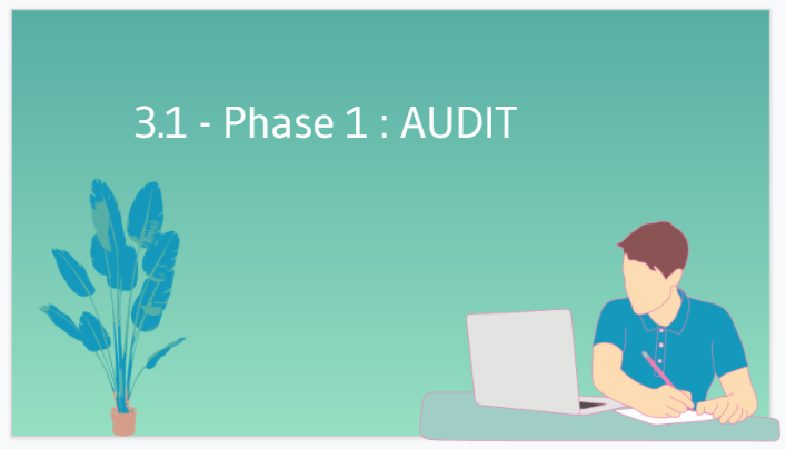 Phase 1 Audit
