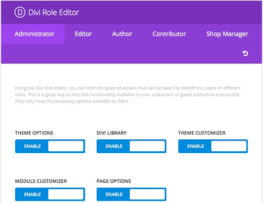  Divi Role Editor