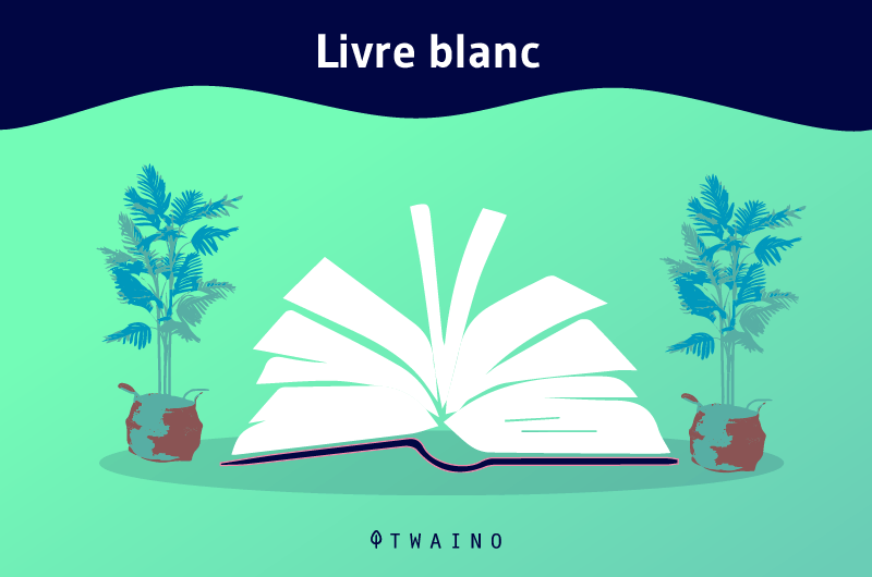 Livre blanc