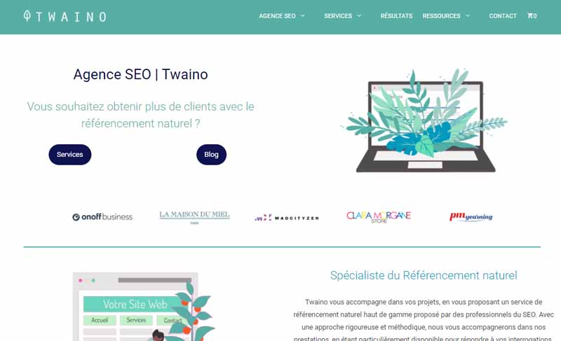 Site web Twaino