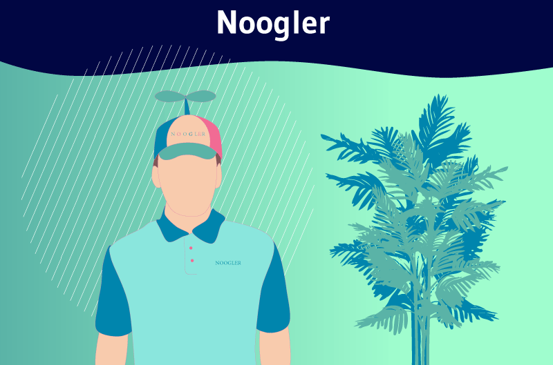 Noogler-1