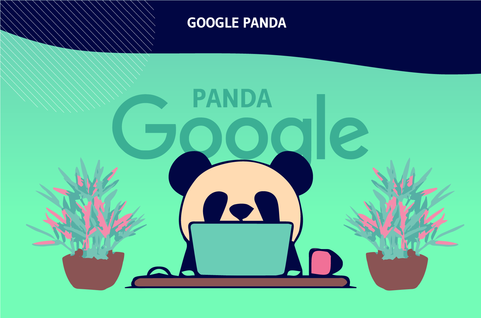 google_panda_1