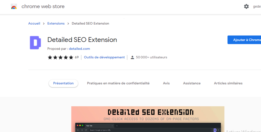 Detailed SEO Extension