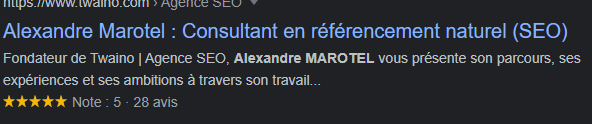 Alexandre Marotel Consultant SEO