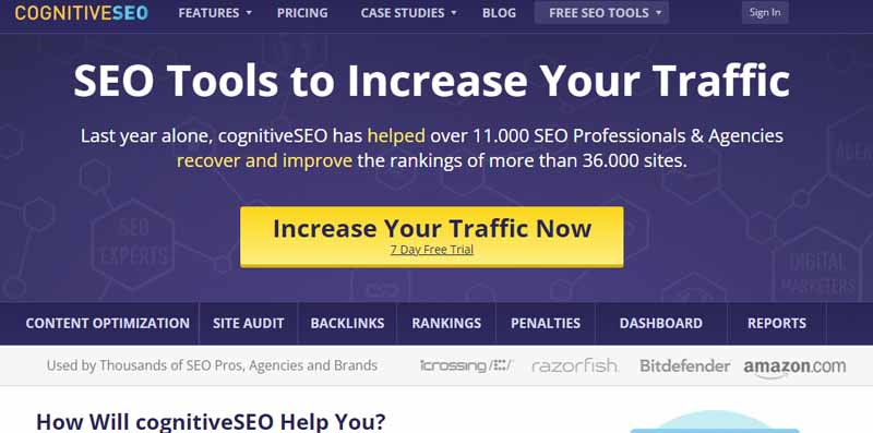 CognitiveSEO