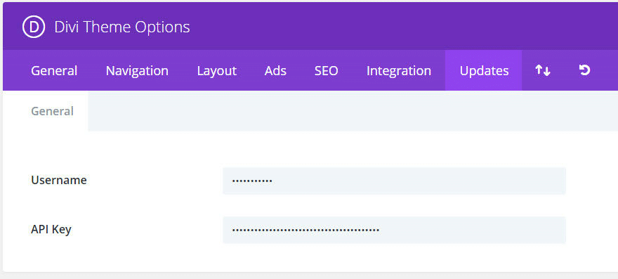 Divi Theme Options Mise a jour