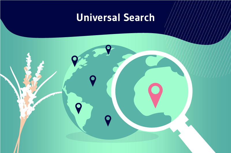Universal search