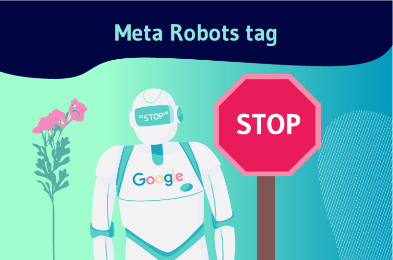 meta robot tag