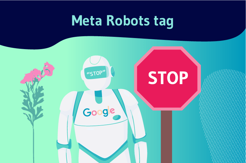 meta robot tag