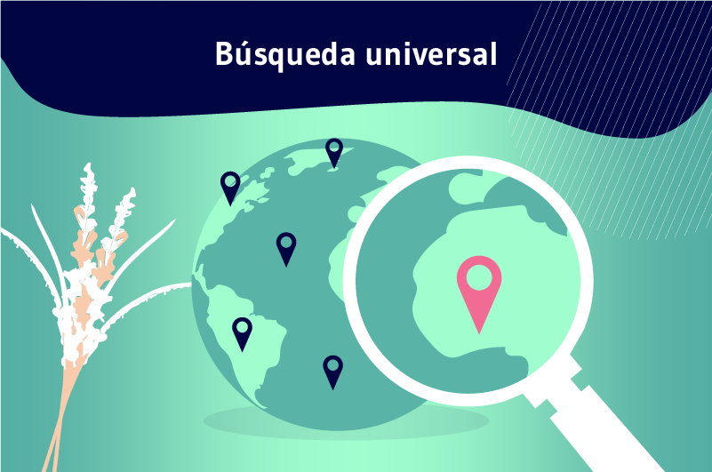 Búsqueda universal