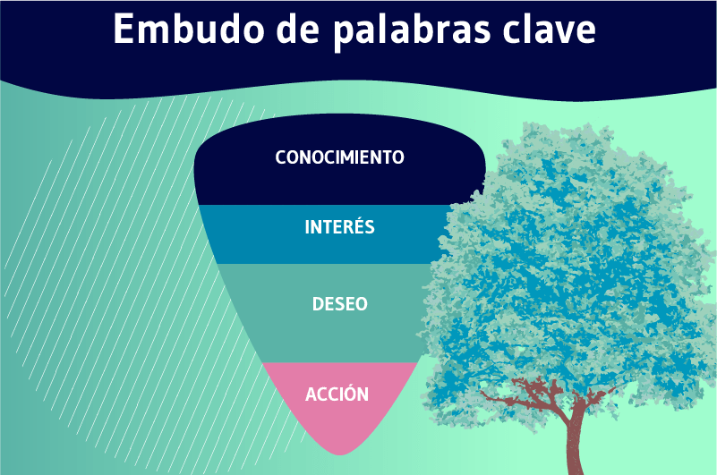 Embudo de palabras clave