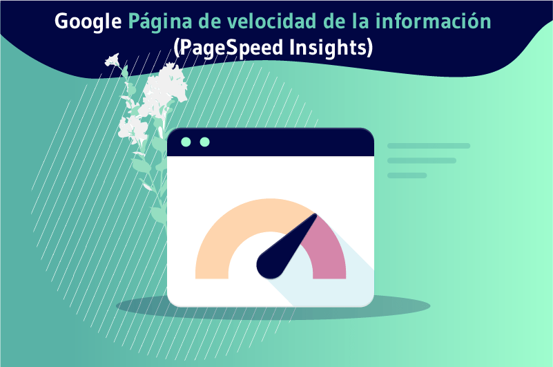 Google Página de velocidad de la información (PageSpeed Insights)