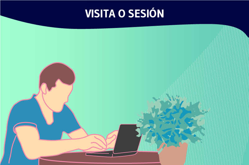 VISITA O SESIÓN