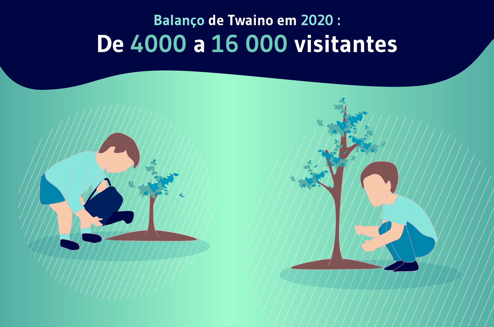 Balanço de Twaino em 2020: De 4000 a 16 000 visitantes