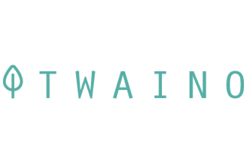 Twaino Agence SEO Logo