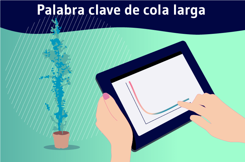 Palabra clave de cola larga