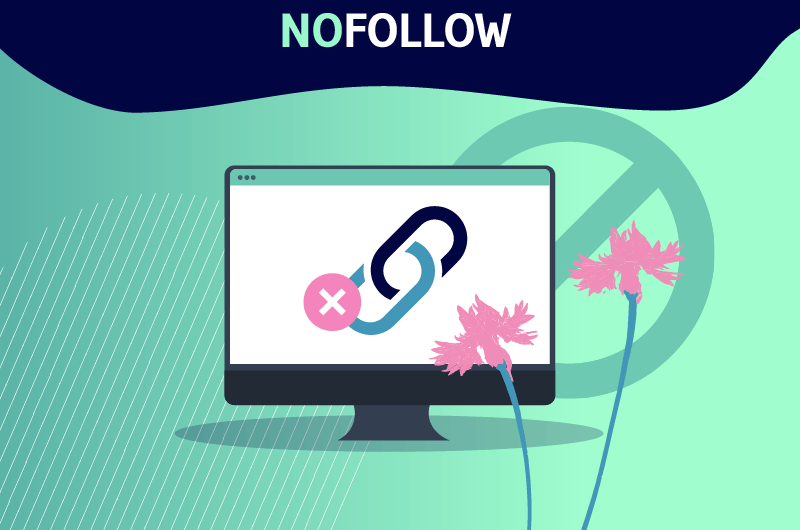 Nofollow - Définition Diversité des liens