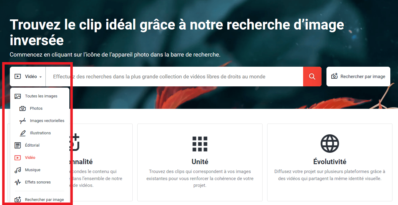 Les 4 Étapes Pour Une Recherche Inversée de Vidéos Sur Google - Twaino