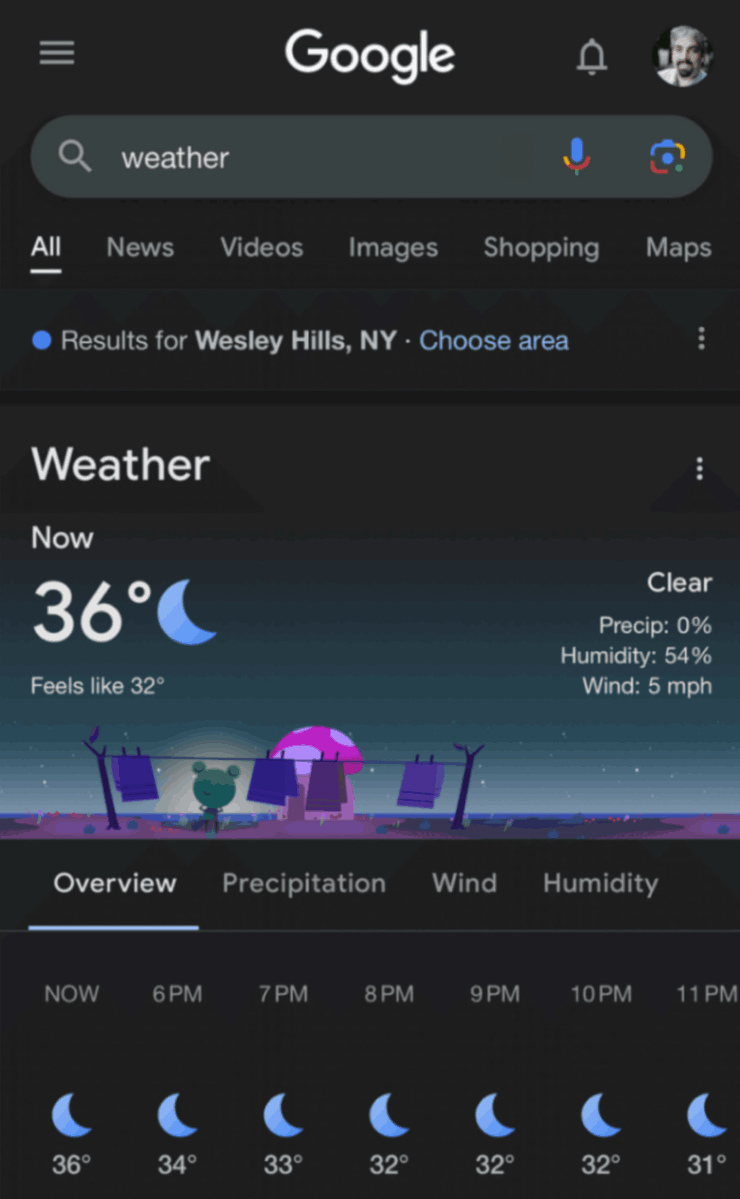 Capture d'écran interface météo Google avec prévisions horaires Wesley Hills