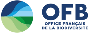 OFB