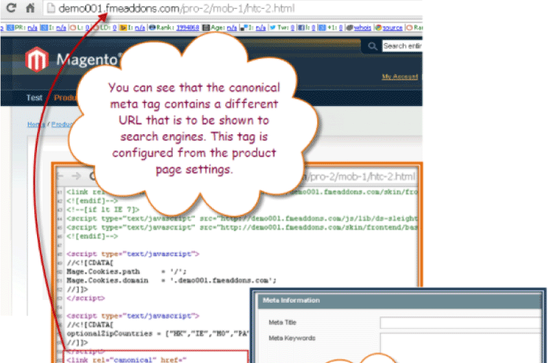 Canonical URLs