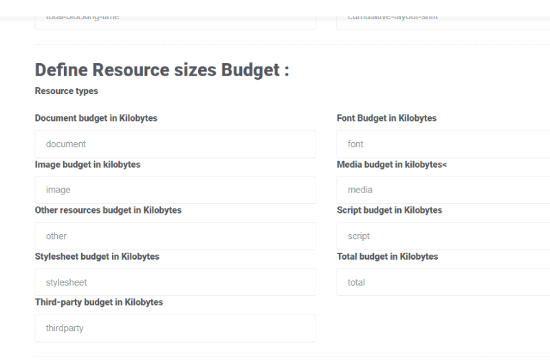 Google Lighthouse Budget Generator