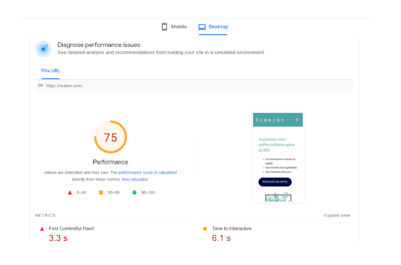 Page Speed Insight