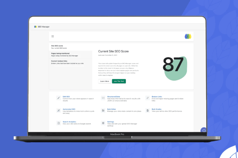 SEO Manager