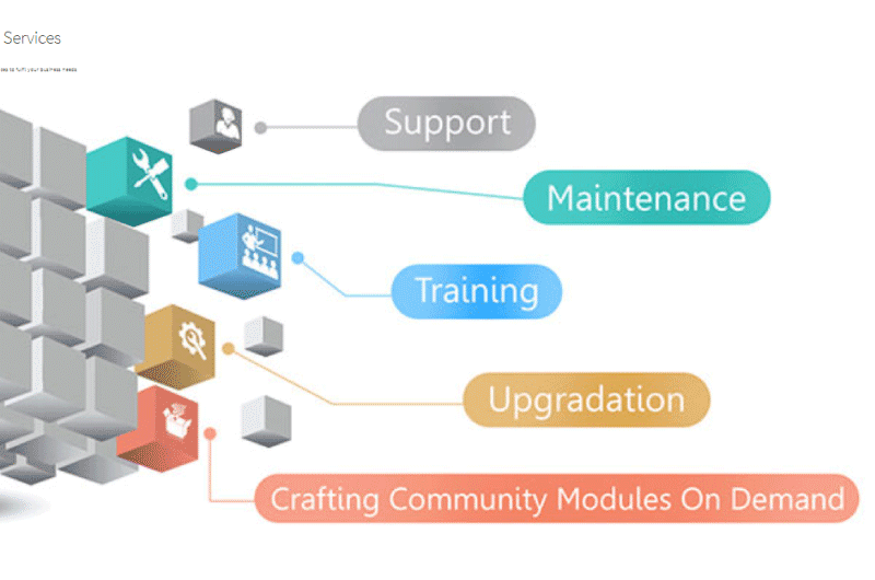 SEO Suite