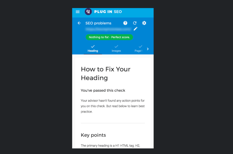 Plugin SEO