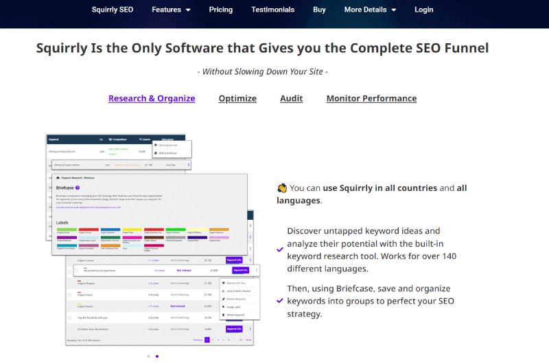 SEO Optimization SEO