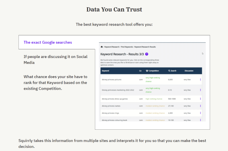 SEO Optimization SEO