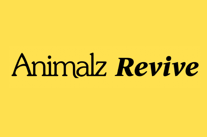 Animalz Revive