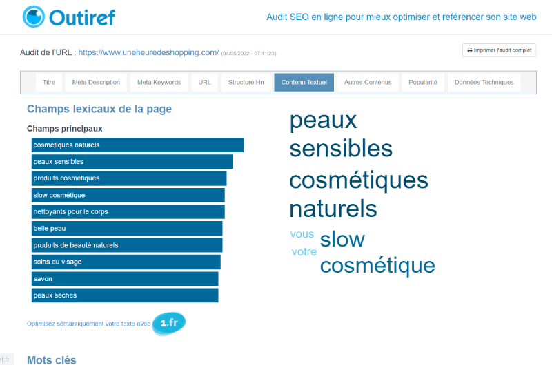 Audit SEO