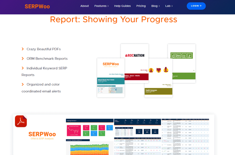 SERP Tracking