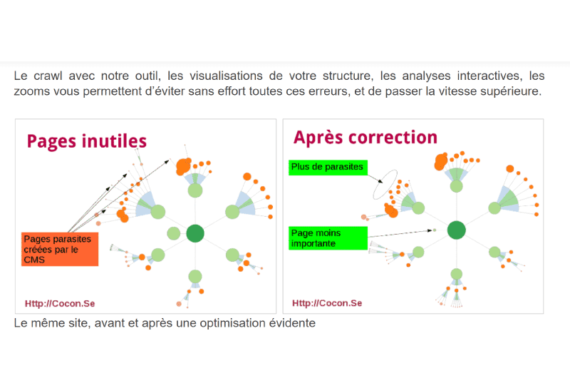 Internal Linking Optimization