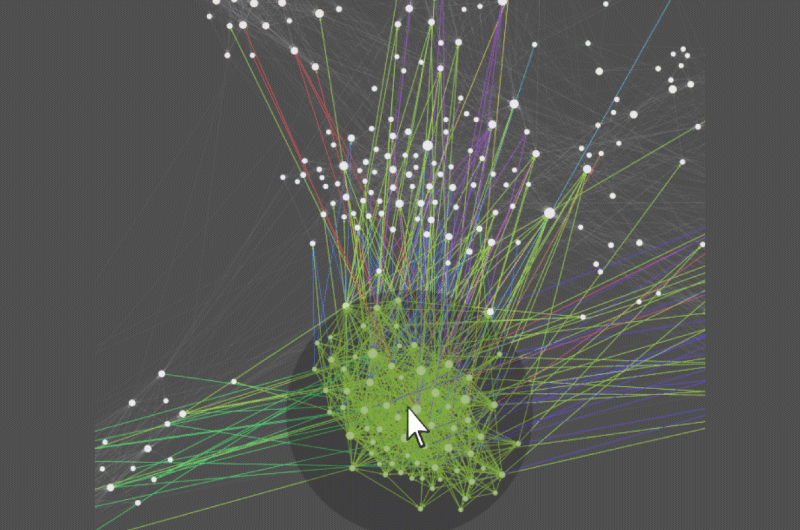 Visualizzazione SEO 