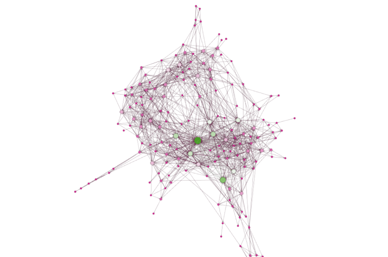 Visualizzazione SEO 